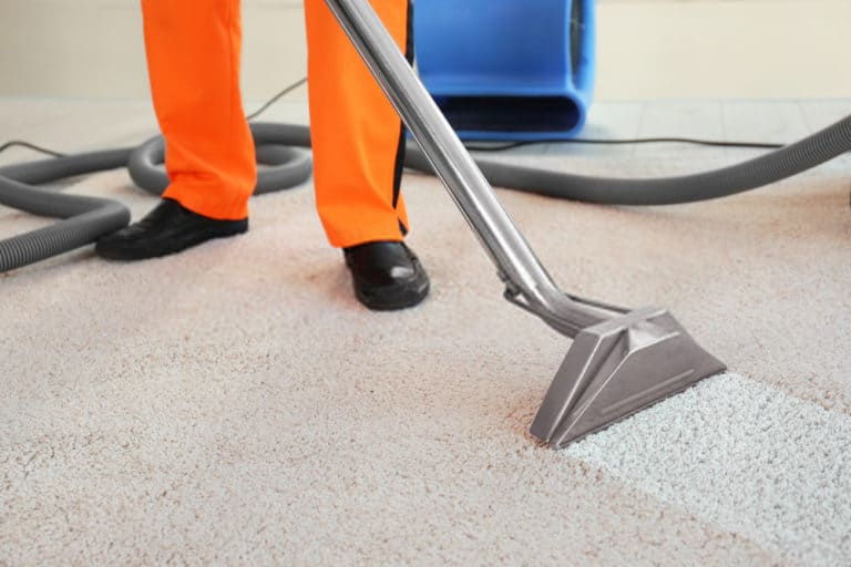 A man cleaning carpet in Hamilton 