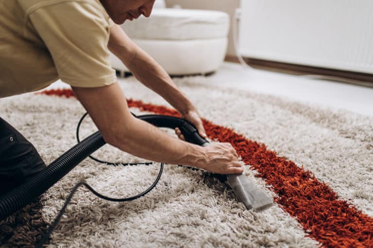 man cleaning carpet using a machine in hamilton